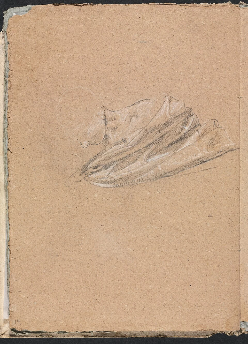 Testa e spalle con drappeggio - Cleveland Museum of Art